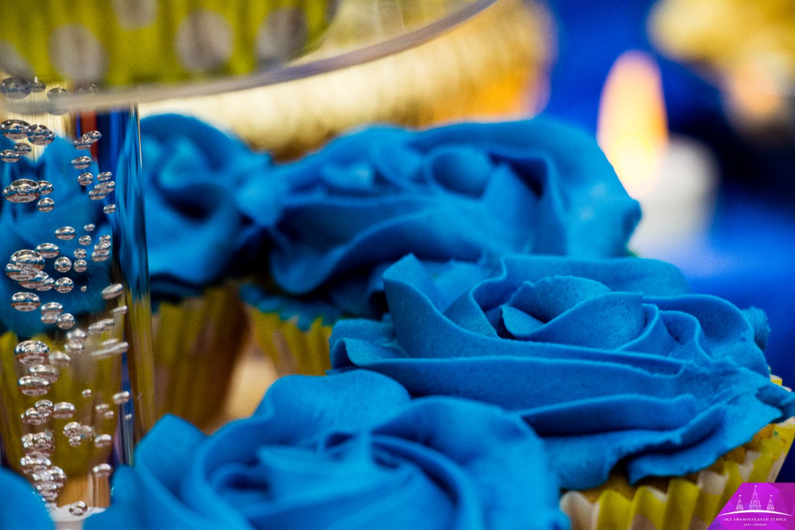 IMG 5926 - ©1987-2017 SKS Swaminarayan Temple East London