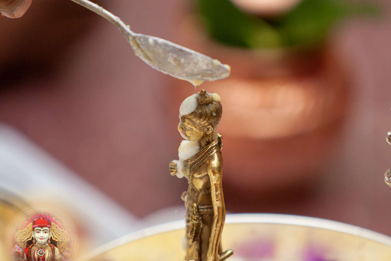 ©1987-2017 SKS Swaminarayan Temple East London