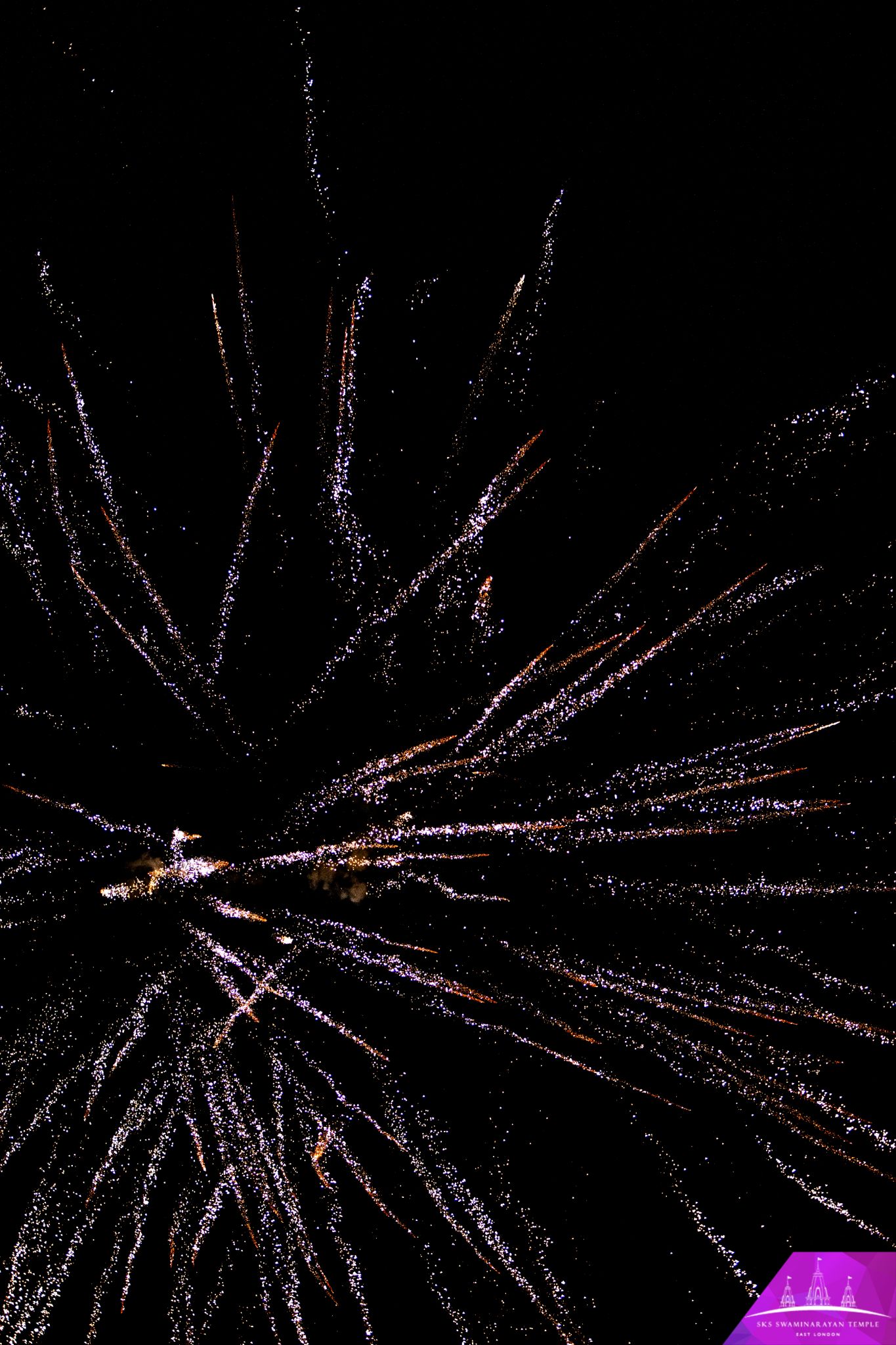 IMG 0702 - ©1987-2017 SKS Swaminarayan Temple East London