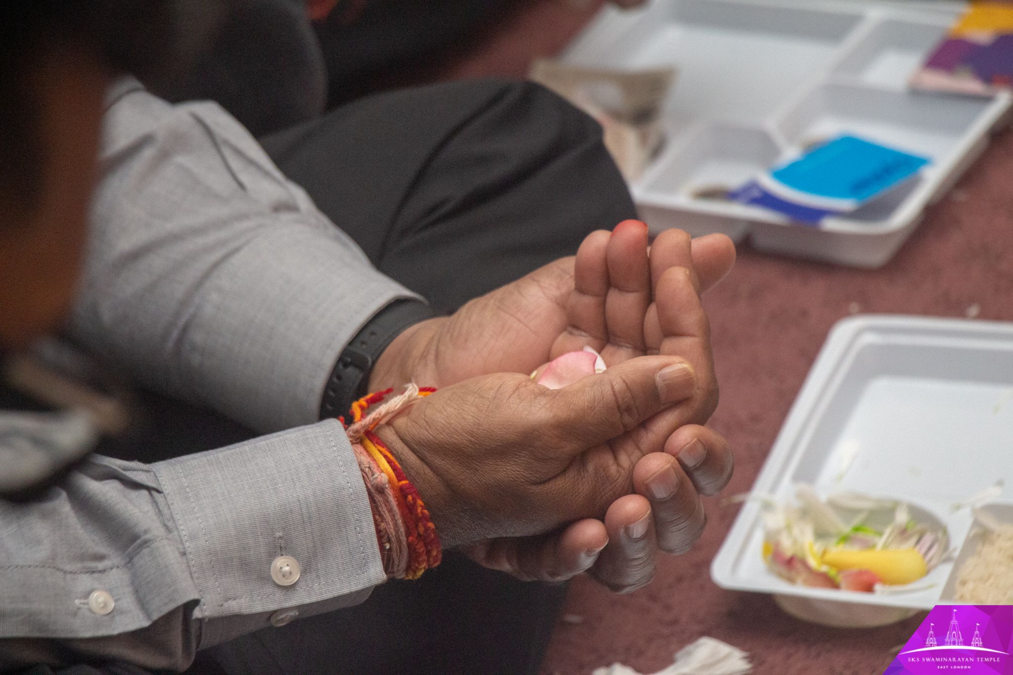 IMG 9686 - ©1987-2017 SKS Swaminarayan Temple East London