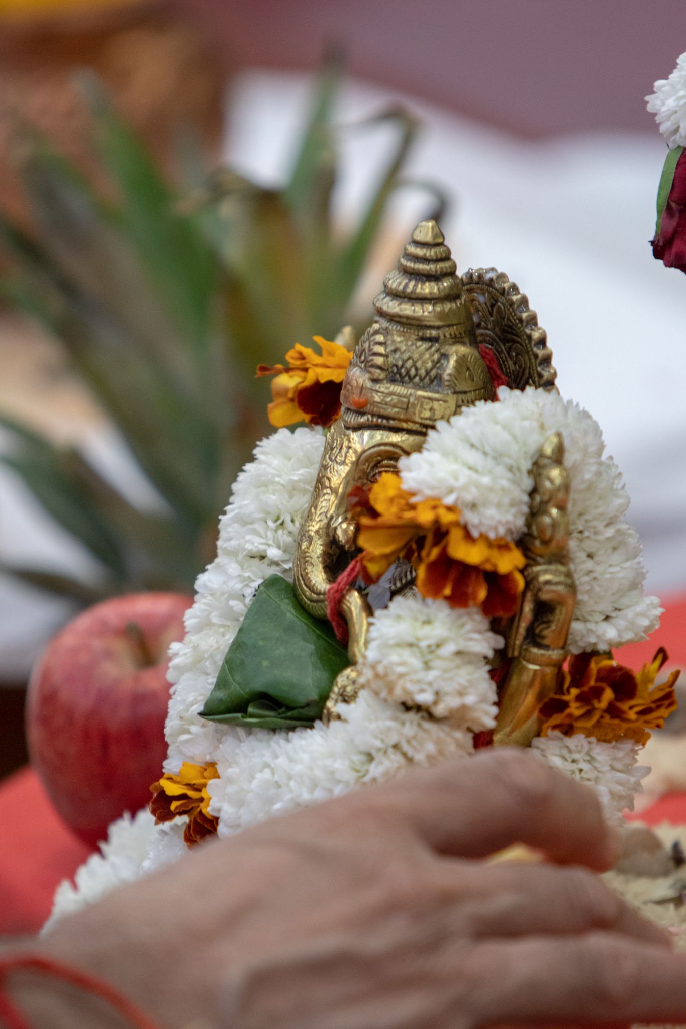0W2A0702 - ©1987-2017 SKS Swaminarayan Temple East London