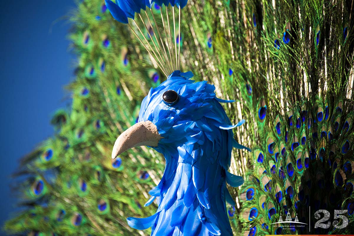 016 - ©1987-2017 SKS Swaminarayan Temple East London